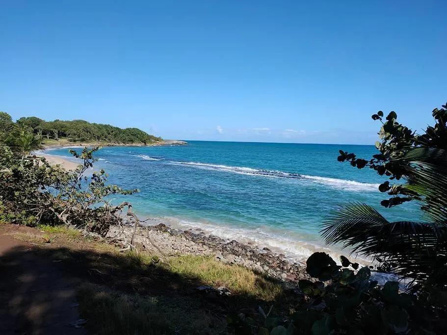 Haut De Villa Avec Vue Sur La Mer Sainte-Rose Semesterbostad